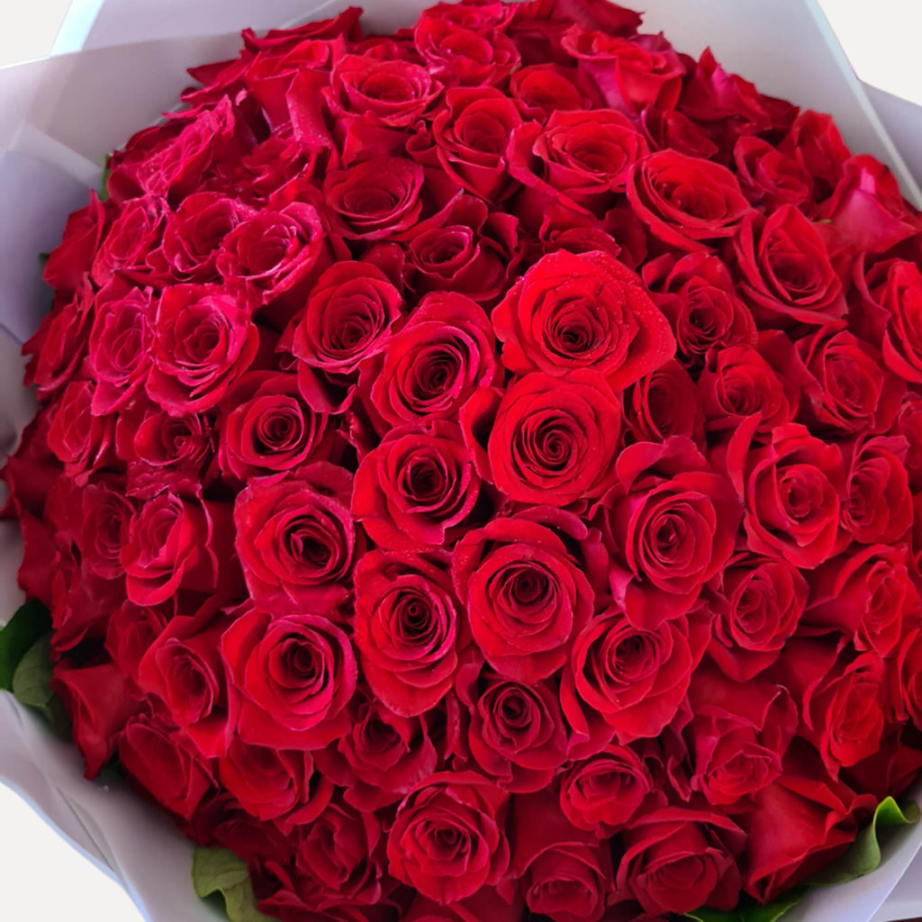 Sydney florist  colombian red roses