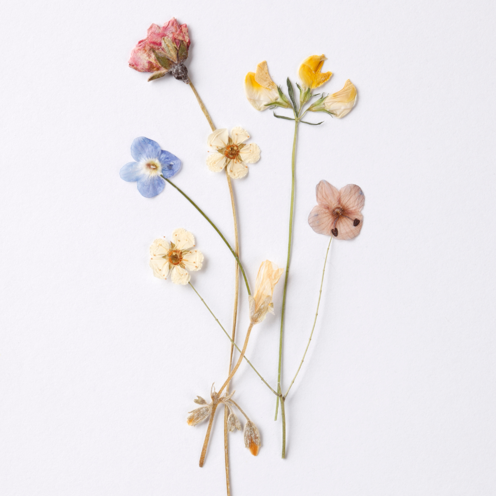 Reliable delivery service by Palette De Flores in Kellyville