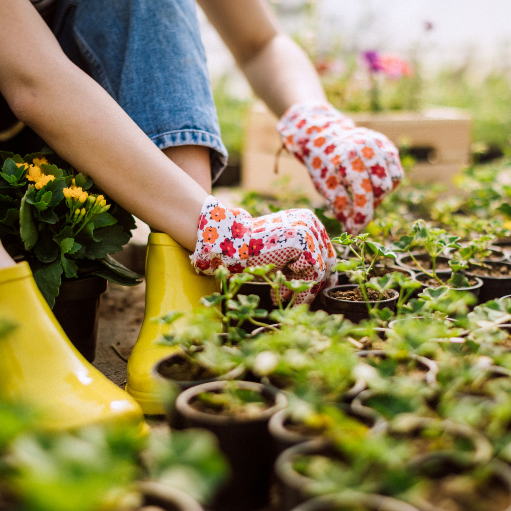 Sustainable flower farming practices for eco-friendly delivery in Sydney