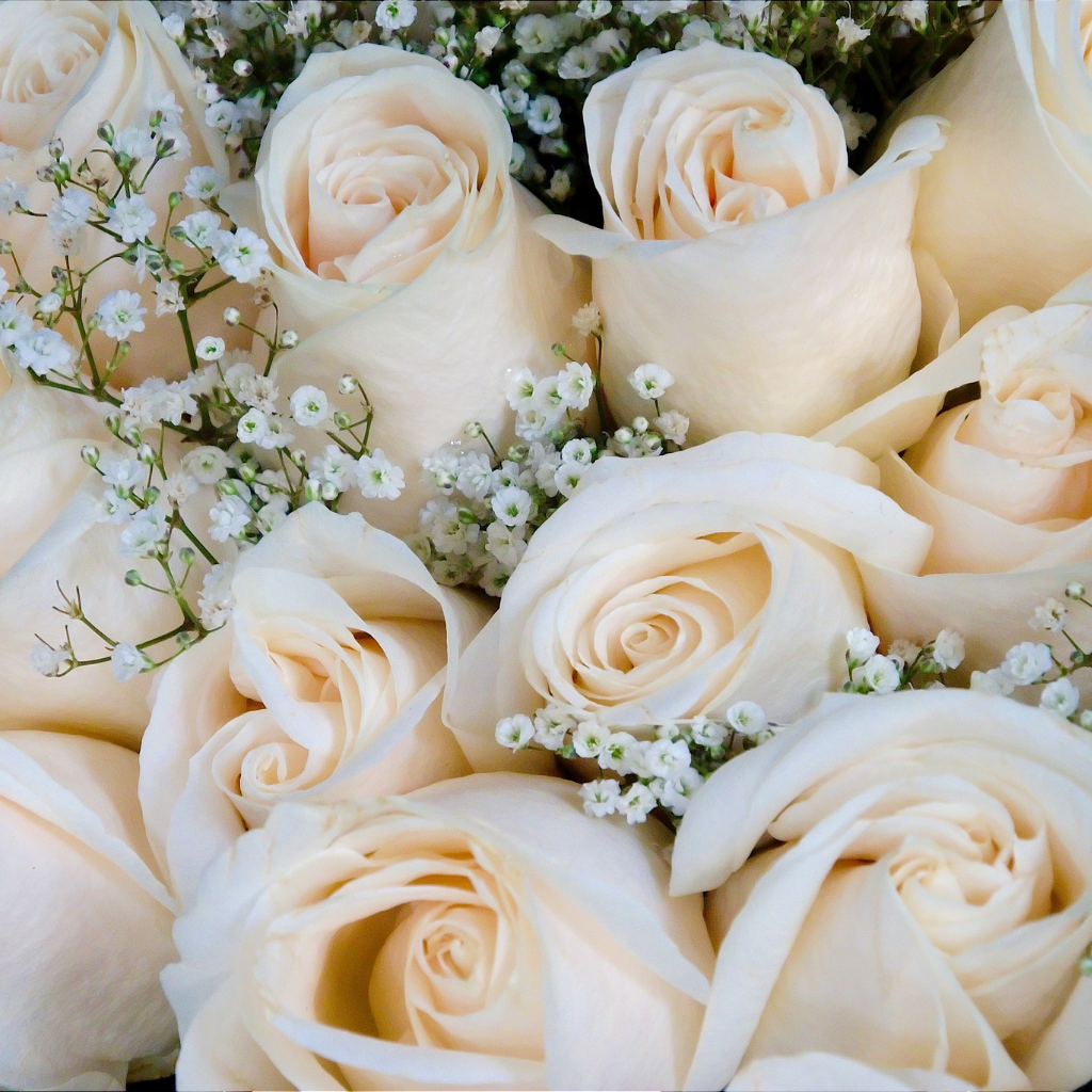 Sympathy bouquet with white roses and soft pastel flowers.