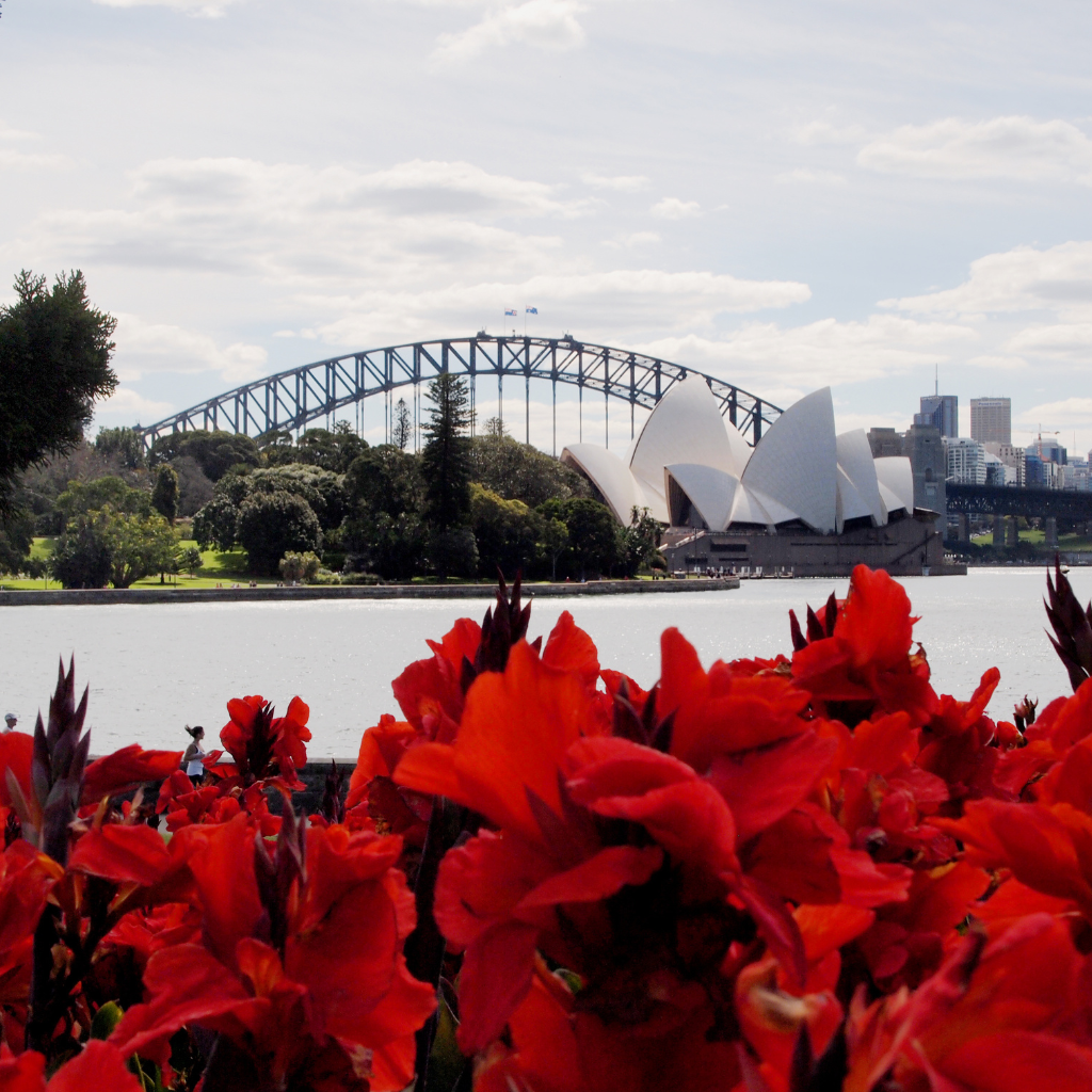 areas of flower delivery in sydney