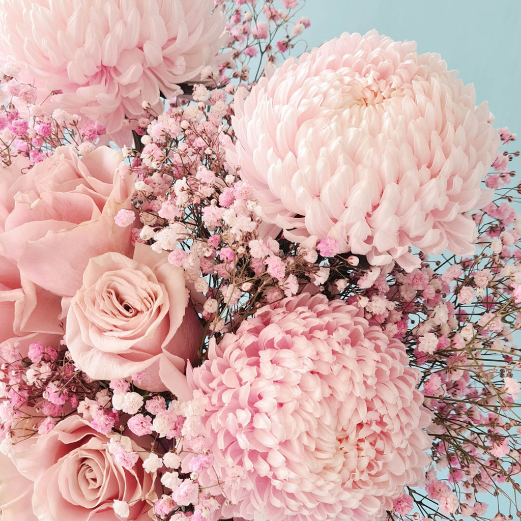 sydney florist pink chrysanthemum
