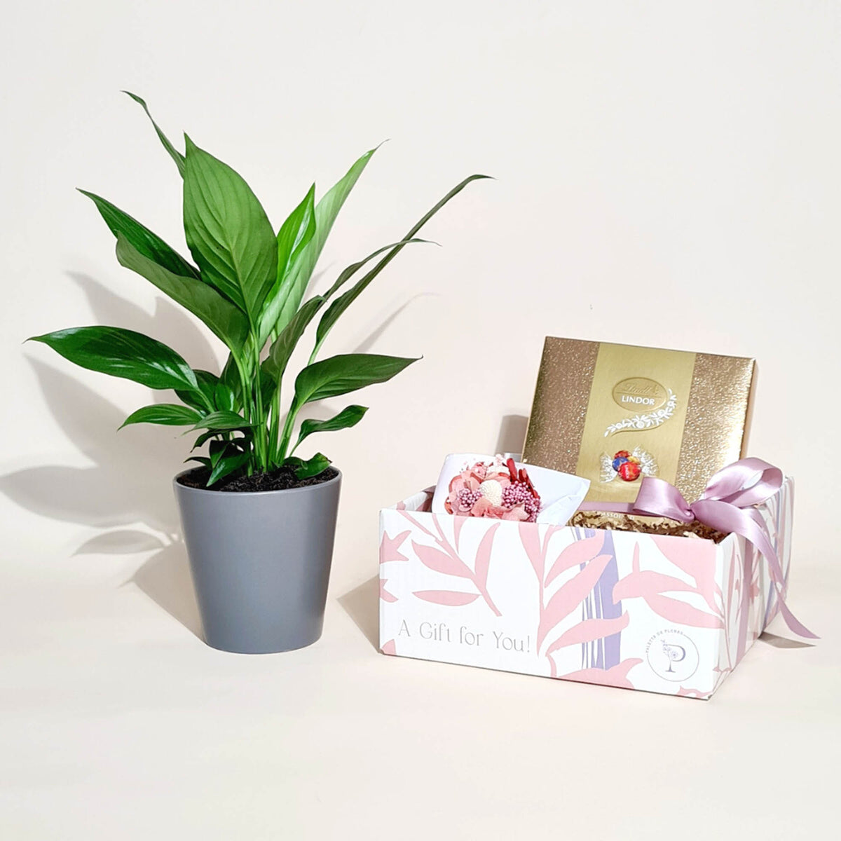 Plant Hampers Sydney | Delivery Sydney | Palette De Flores – Palette de ...